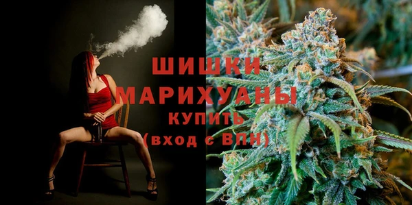 индика Новый Уренгой