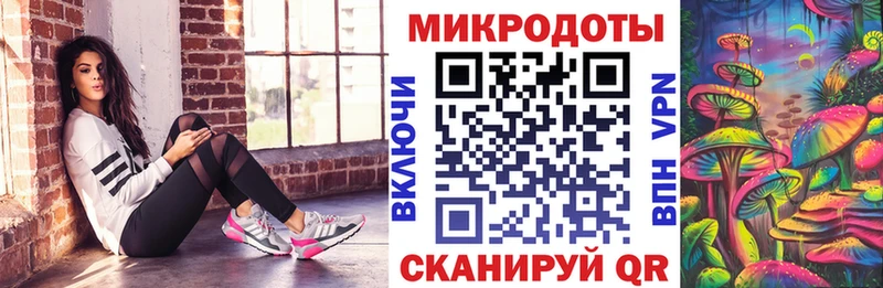 Галлюциногенные грибы Psilocybe  купить  цена  Белокуриха 